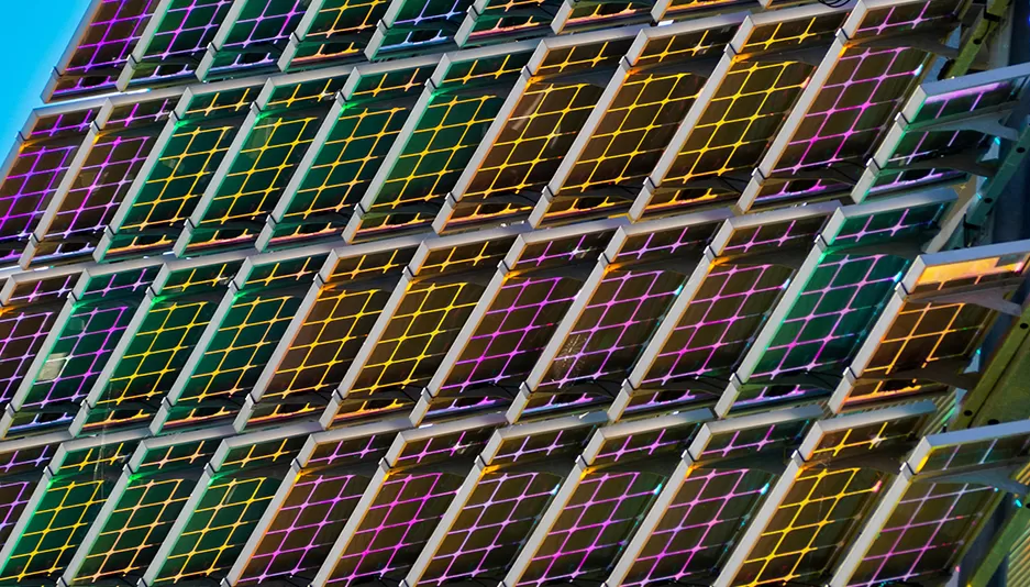 Regionale Verteilung und Wettbewerbs landschaft